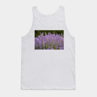 Lavender flowers closeup Tank Top